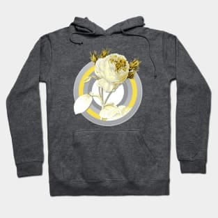 Botanical Illustration Centifolia Roses in Gray and Yellow Hoodie